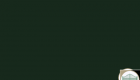 Kleuren.RAL6009