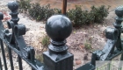 IMG00382-20110114-0938
